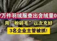 7万件羽绒服查出含绒量0！用“粉碎毛”以次充好。3名企业主管被抓！
