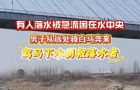 他骑马而来勇救落水者！网友：太帅了，像极了古代大侠！他们都是真英雄！