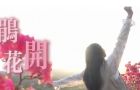 【春意山海 遇见荆门】 山间的那一抹红，是杜鹃